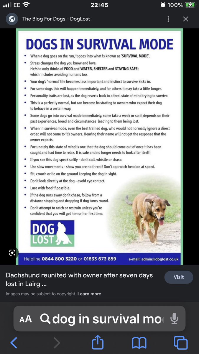 Dogs of Tooting 1 tweet media