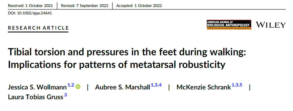 Jessi Wollmann-Reynolds tweet media