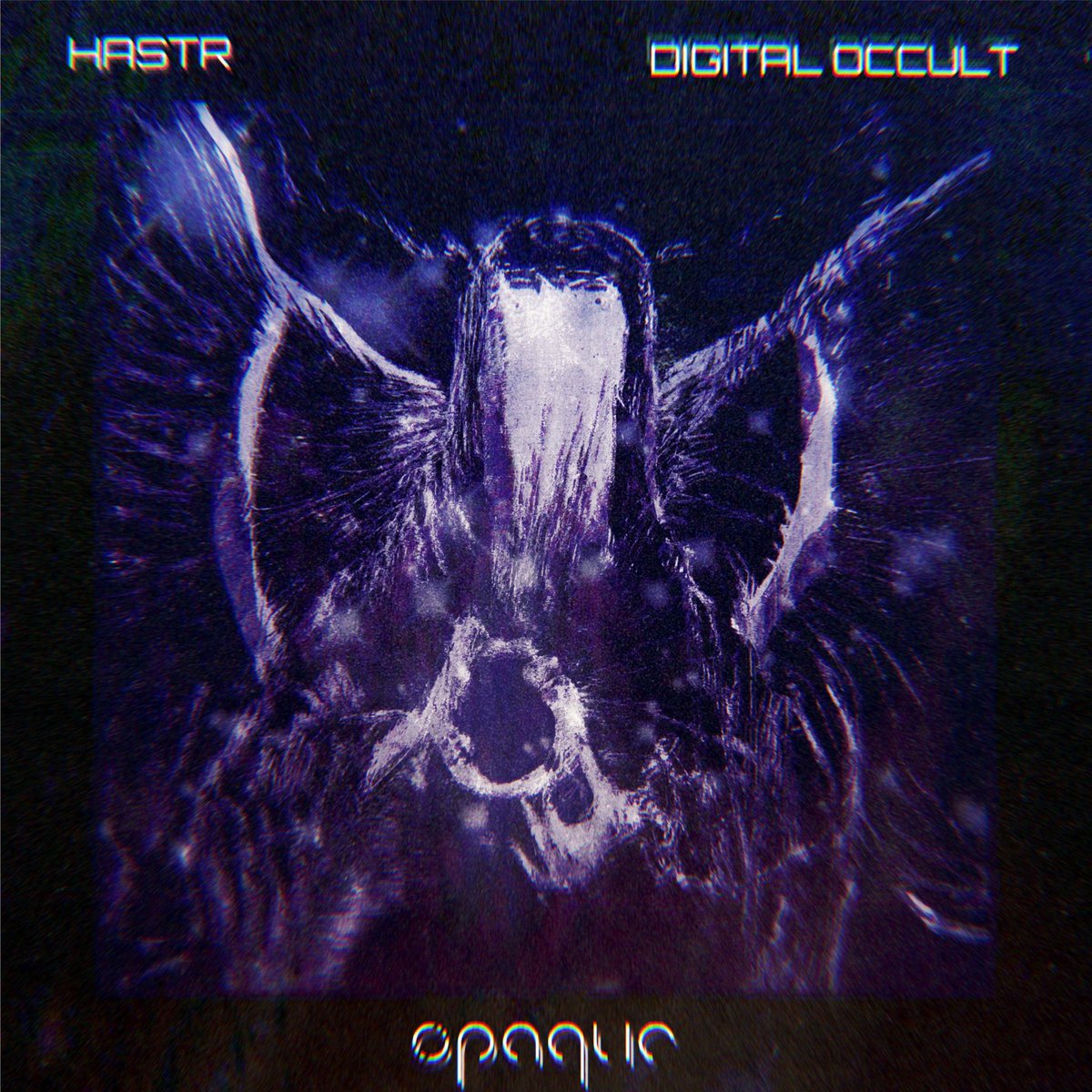 OPAQUElabel's tweet photo. New EP from HASTR is out now! Stream it here! https://t.co/yPDeLza3Vb #techno #technolabel #technomusic #newtechnomusic #darktechno #opaquerecords #hastr #digitaloccult https://t.co/W946IJZmXh