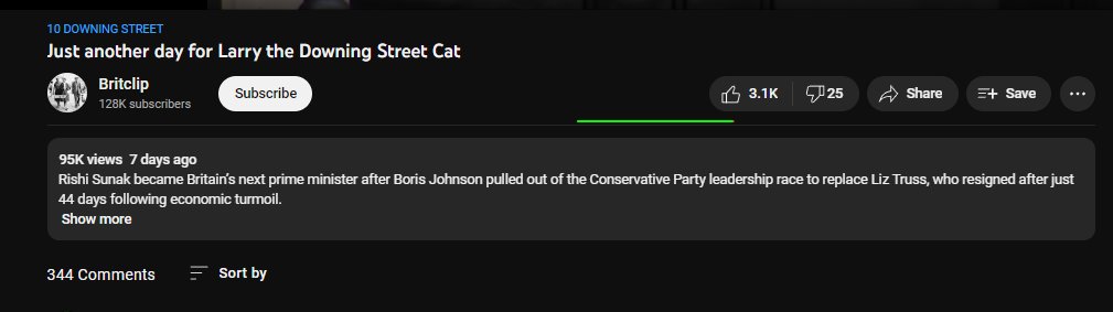 niner👑(commissions are open) tweet media