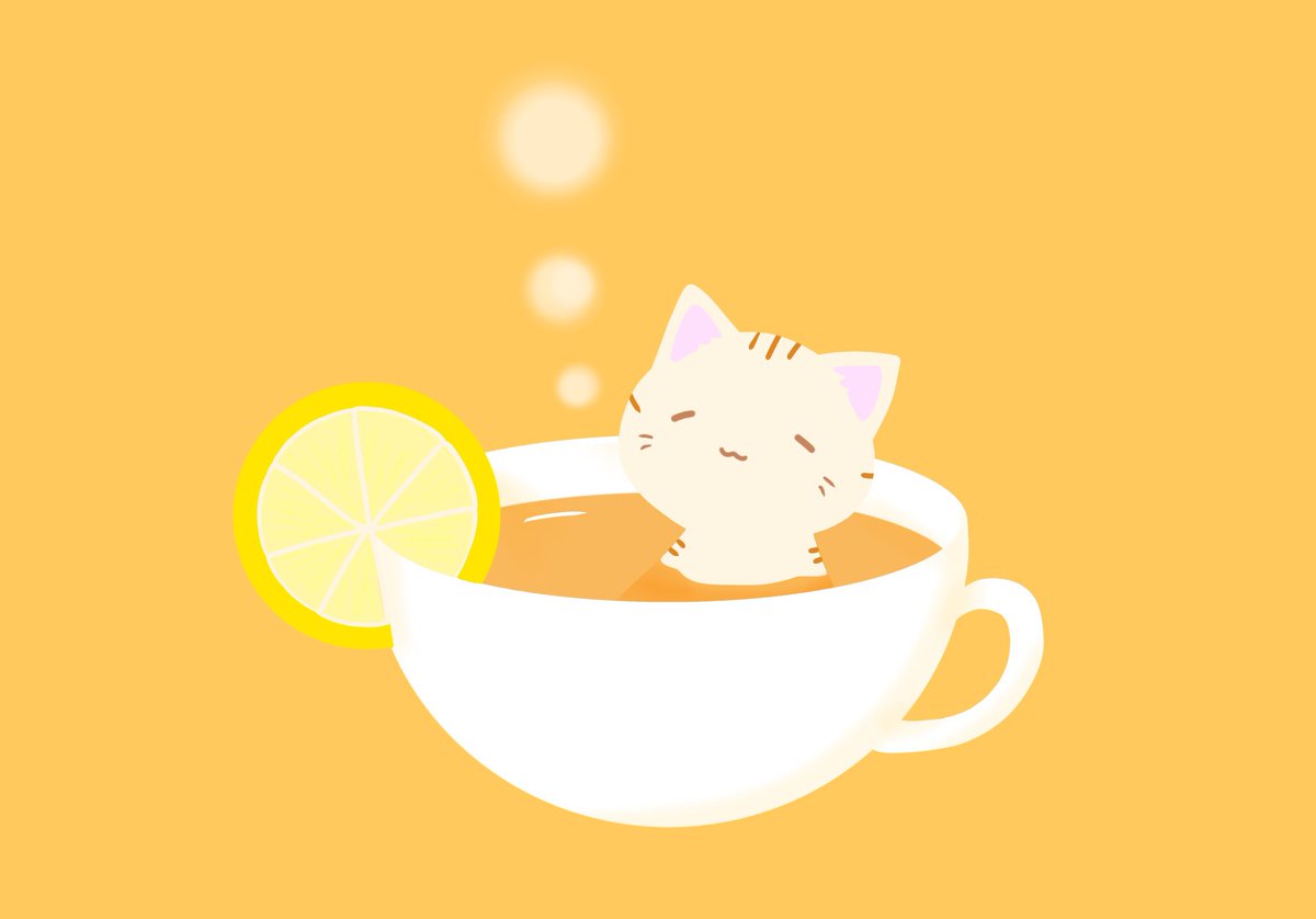 no humans cup cat food lemon fruit orange background  illustration images