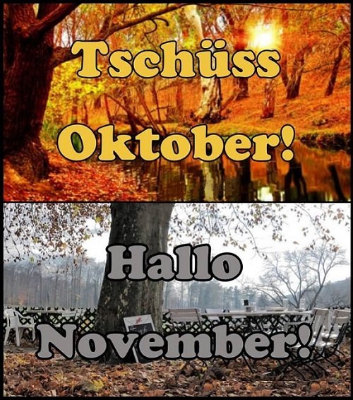 Cengiz4955's tweet photo. Guten Morgen Ihr Lieben, ich wünsche euch einen wundervollen Dienstag und wünsche euch einen schönen Nowember, bitte passt gut auf euch auf 🙋♂️🍀☕☕🌺🌹🥰
#GutenMorgen #Dienstag #Nowember https://t.co/1SmZMvVDxp
