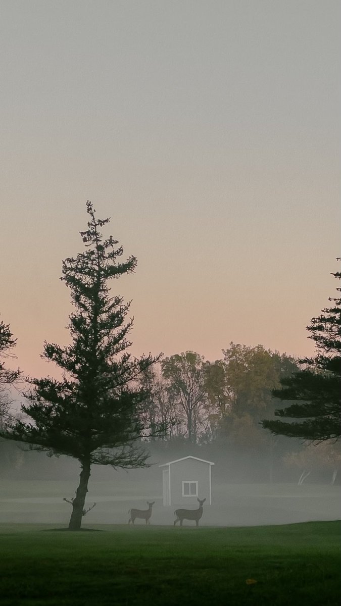 A few crisp mornings