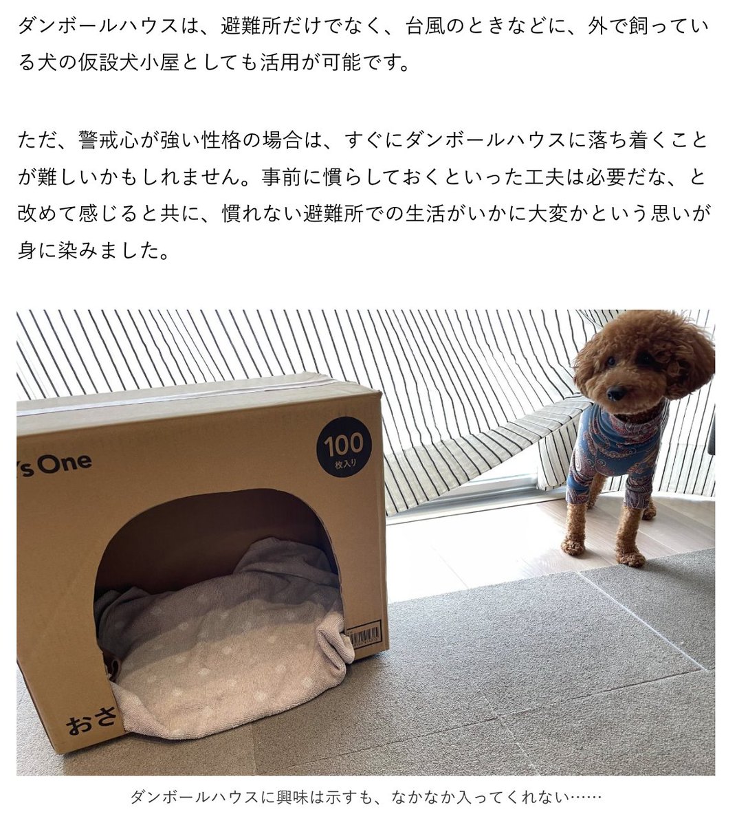 となりのカインズさん カインズ公式 犬の日 もしもの災害時 愛犬用の対策はしていますか ペット防災のプロからアドバイスを受け 用意した 防災グッズ の中身がこちらです 犬をしまえ T Co 3xevfwhsbk T Co Ufskk1qjpf Twitter となりのカインズさん カインズ公式 犬の日 もしもの災害時 愛犬用の対策はしていますか ペット防災のプロからアドバイスを受け 用意した 防災グッズ の中身がこちらです 犬をしまえ T Co 3xevfwhsbk T Co Ufskk1qjpf Twitter