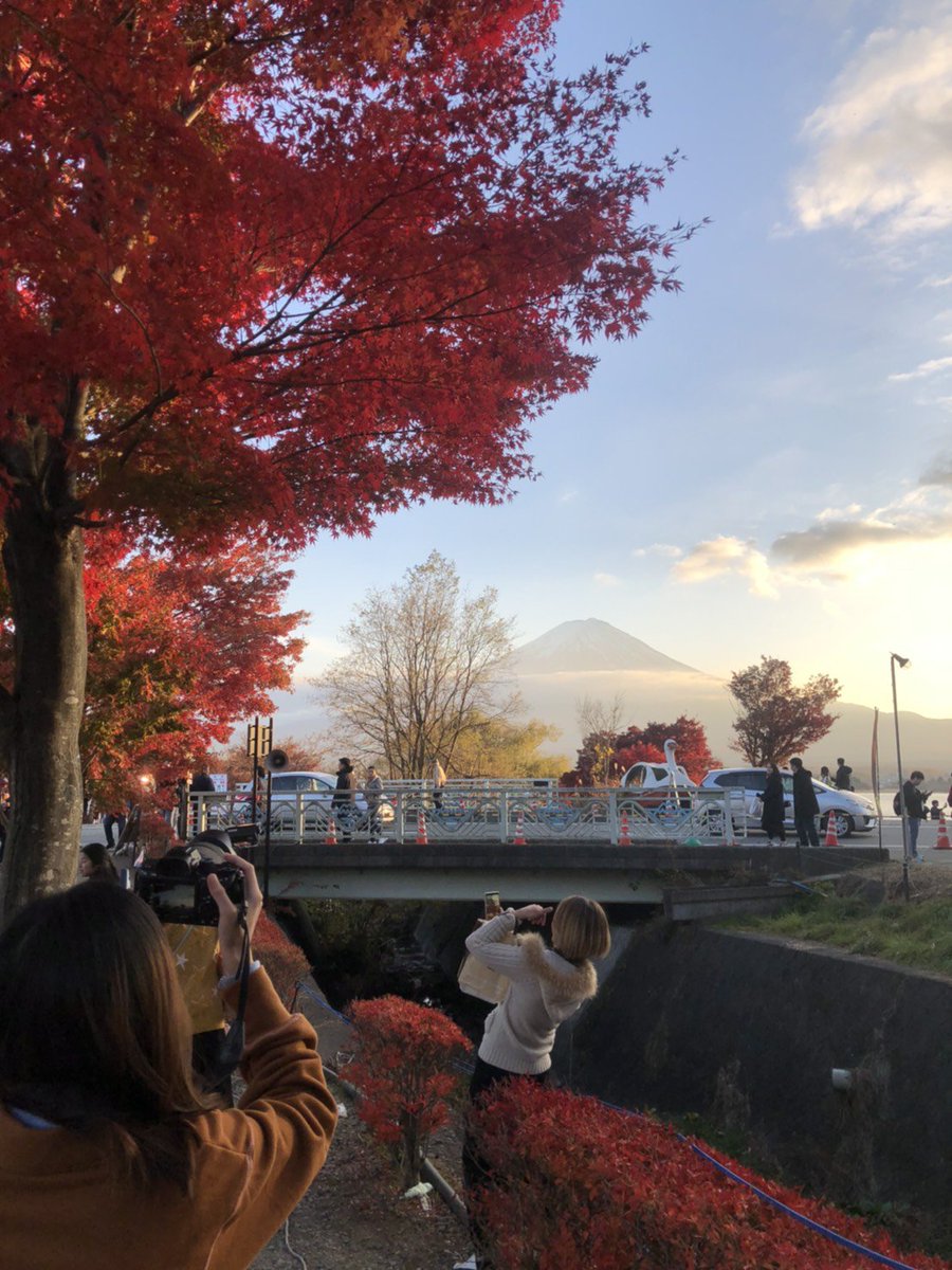 kickykickz's tweet image. My prayers are finally answered

i believe so

always walk side by side with me

Looking up and waiting for the sun to rise