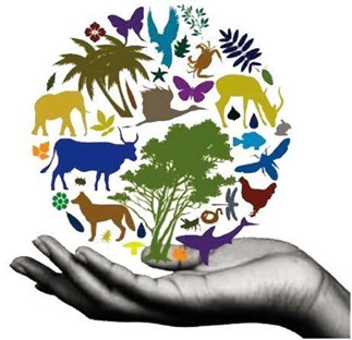 environment_go's tweet image. The #Earth was filled with so much diversity, but now this diversity has been reduced to less than half, all due to man's selfishness and greed.
This diversity is here for man's benefit.
Why do we still kill this diversity?
#Biodiversity #ClimateBrawl #ClimateAction