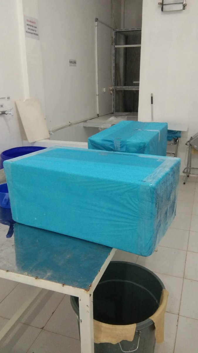 #tuna
#yellowfin
#fresh loin
#sushi
#japanese
Shipment to Jakarta, for Japanese buyer