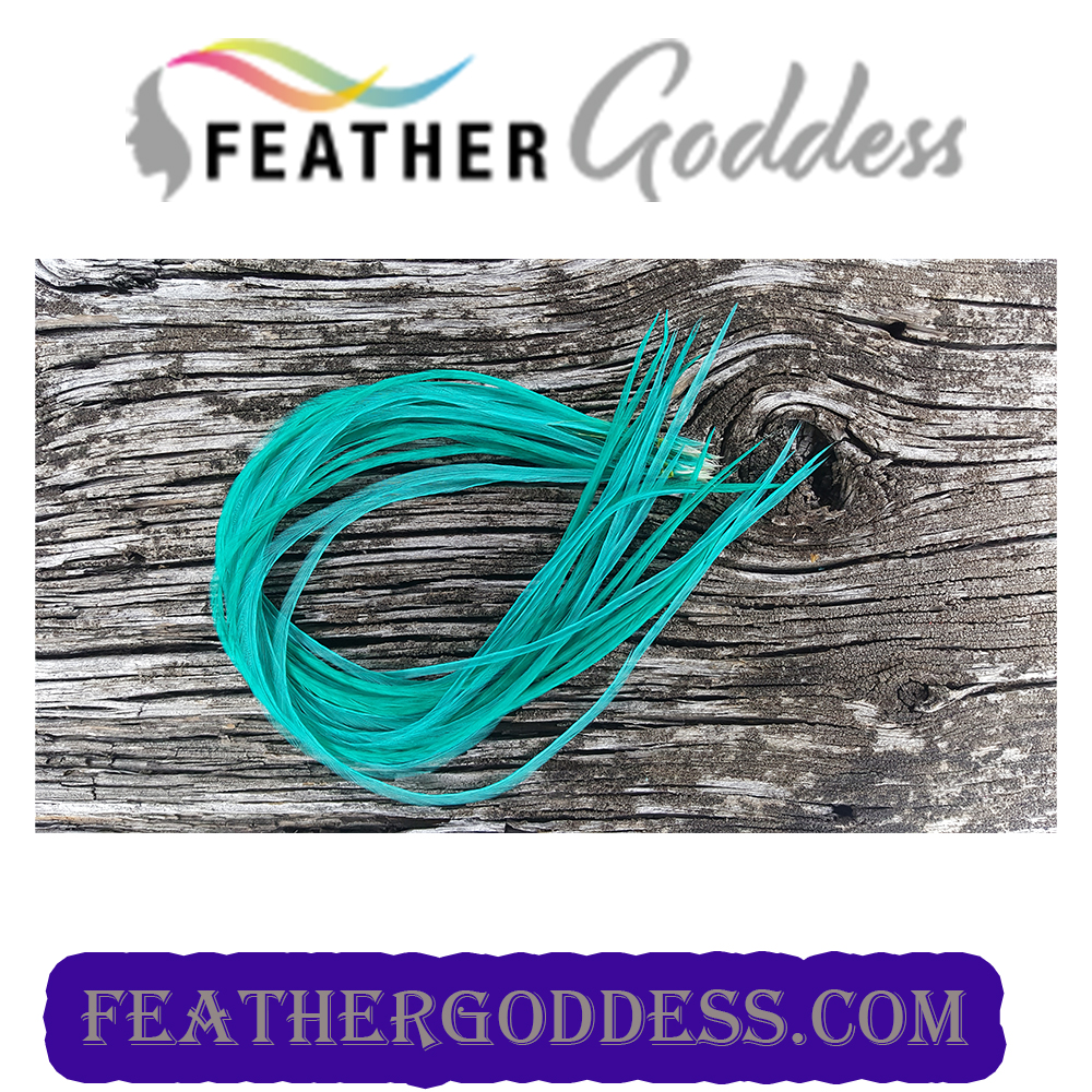 AQUAMARINE HAIR FEATHERS
feathergoddess.com/ECommerce/Shop…

:
#hairstyles #hairextensions #hairsolons #feathers #featherhairextensions #hairstyle #fashionfeathers #feathergoddess #extensionspecialist #hairdresser #collegefootball  #collegiatesports #schoolcolors #holidaycolors #holidays