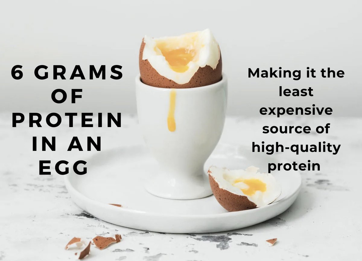 🥚PROTEIN! #CAO22