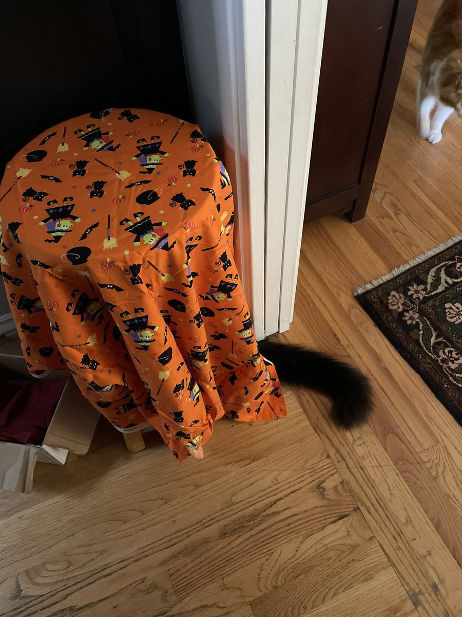 Tim Robinson (@timro@fosstodon.org) tweet media