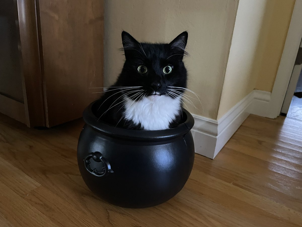 Tim Robinson (@timro@fosstodon.org) tweet media