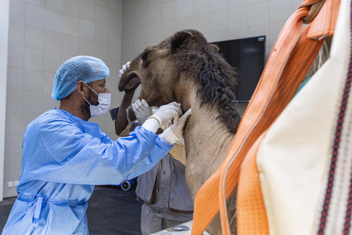 Guinness World Records on Twitter "New record Largest veterinary