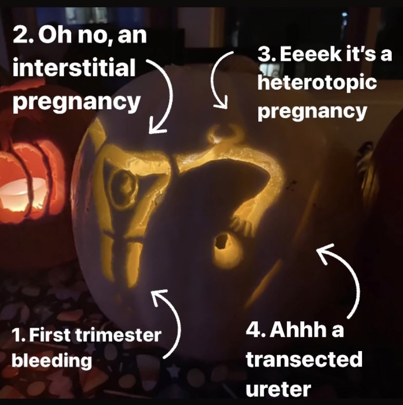 DenadelMichelle's tweet photo. My pumpkin from R2 year. I was covering the ED a lot at the time. https://t.co/p0eyKY5bGv