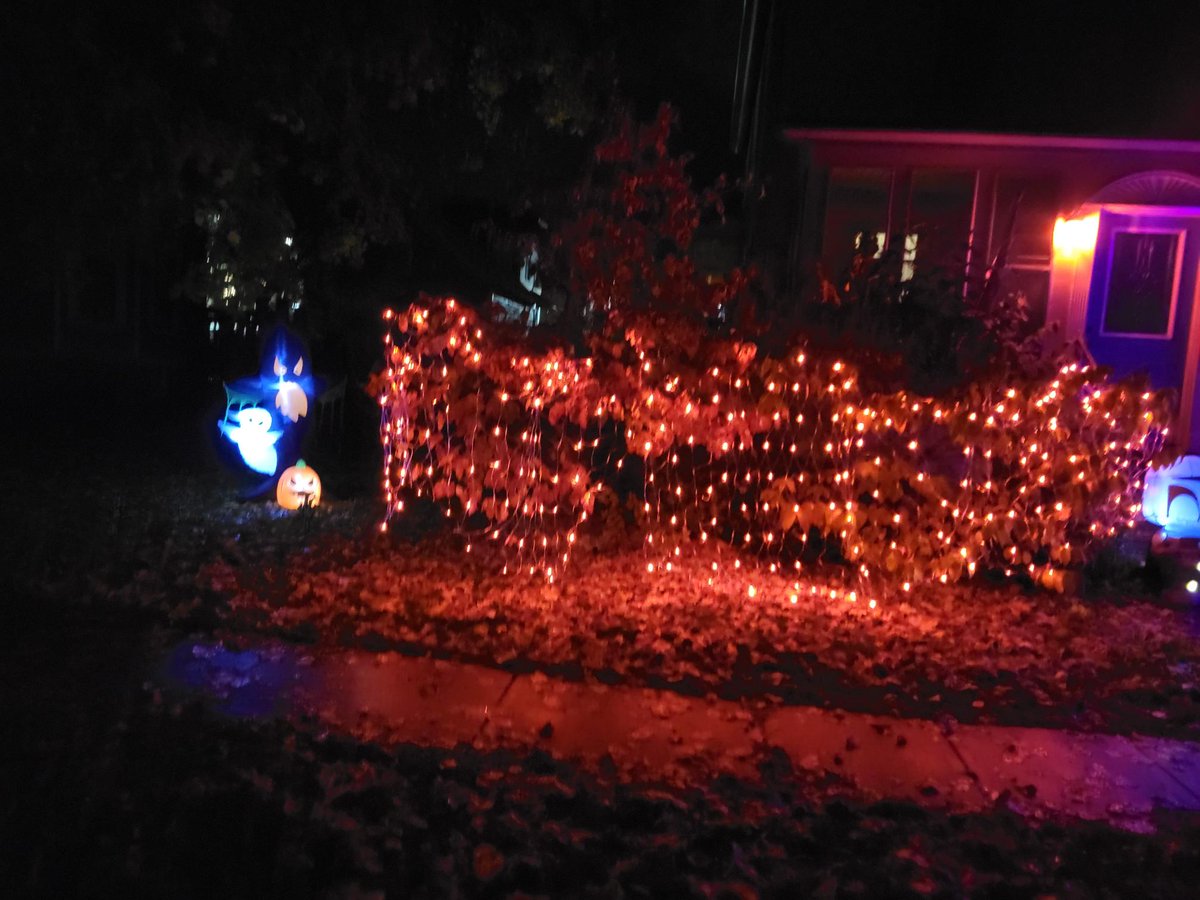 duffminster's tweet photo. First time decorating in the 5 years we've lived here. https://t.co/Z7ncWlGSyb