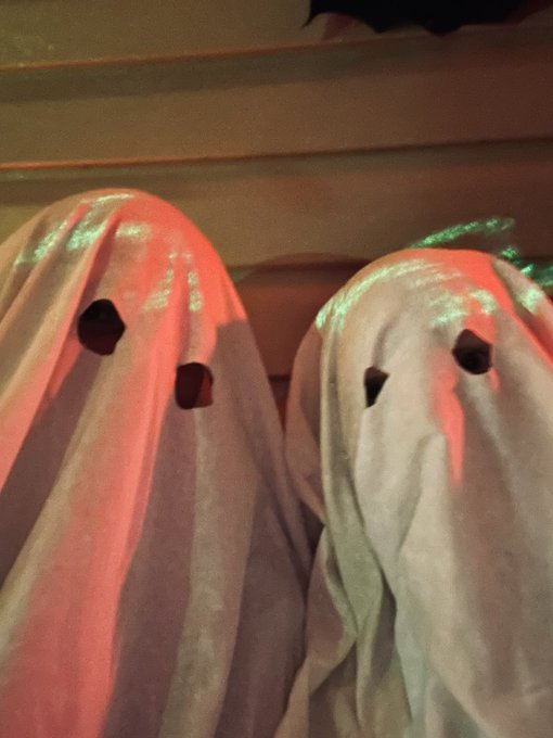Just us over here scaring the shit out of trick&rsquo;or&rsquo;treaters. 👻 https://t.co/sSvRIPUcfP<a href="/tag/letsplay"class="tags"><span>#letsplay</span></a><a href="/tag/vr"class="tags"><span>#vr</span></a><a href="/tag/halflifealyx"class="tags"><span>#halflifealyx</span></a>