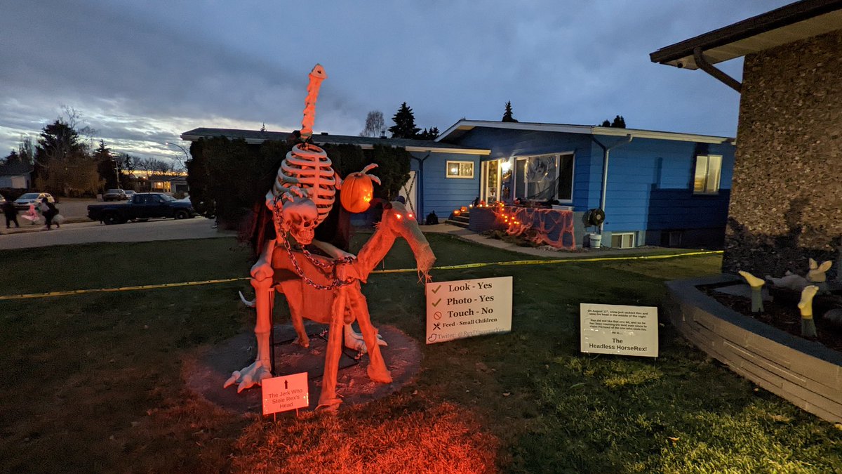 RexTheDinosaur tweet media