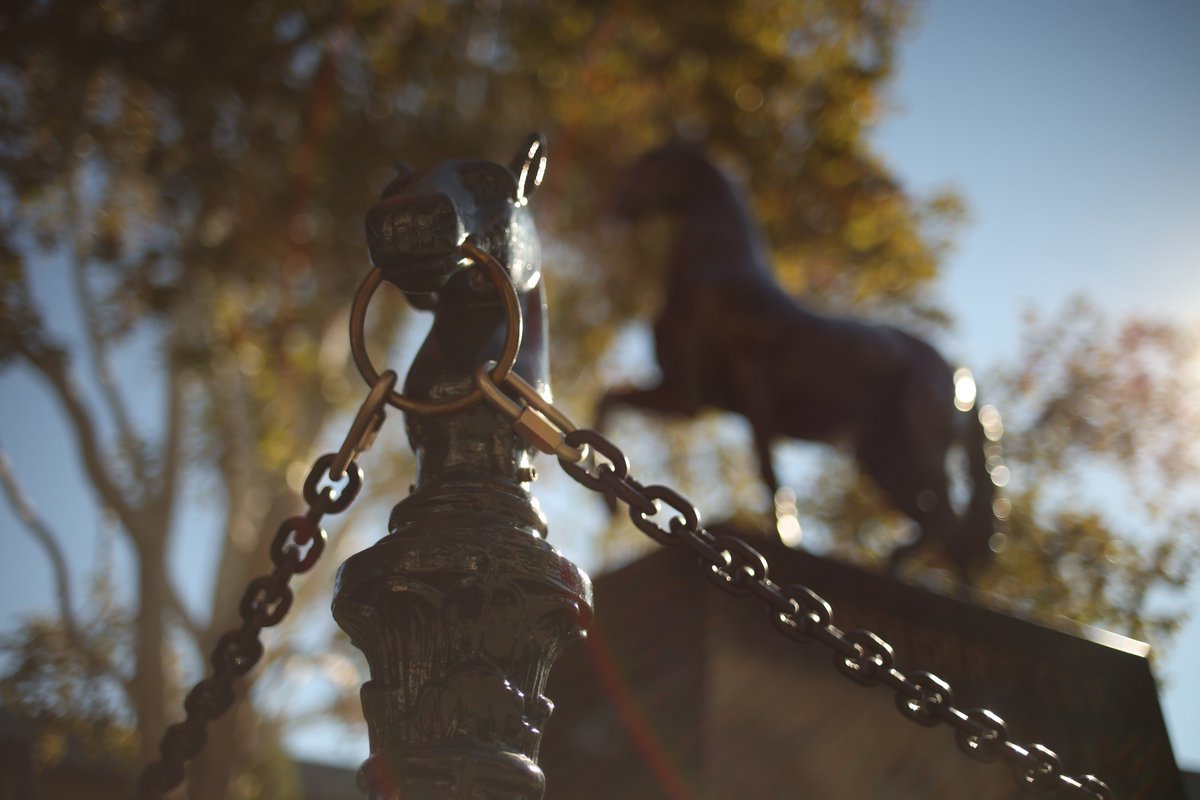 keenelandsales's tweet image. Keeneland Sales Represented by 54 Horses Entered in Breeders’ Cup World Championships on Friday and Saturday. Read more → bit.ly/3SSyu62