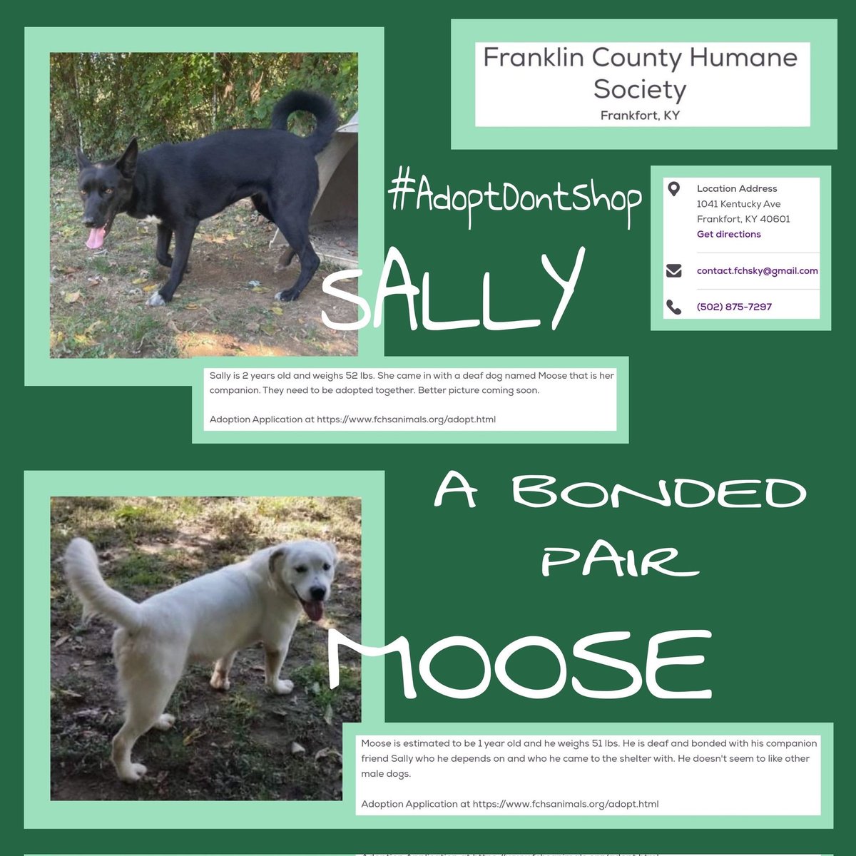 melissa monet on Twitter "RT TheCaucusHost Our fren EthansPetProj