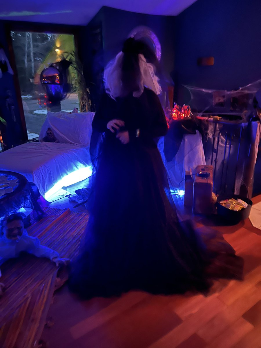 Them: What are you dressed as?
Me: a bride of the underworld or A leftist living in Alberta. Same same, you choose. #Halloween #abhalloween