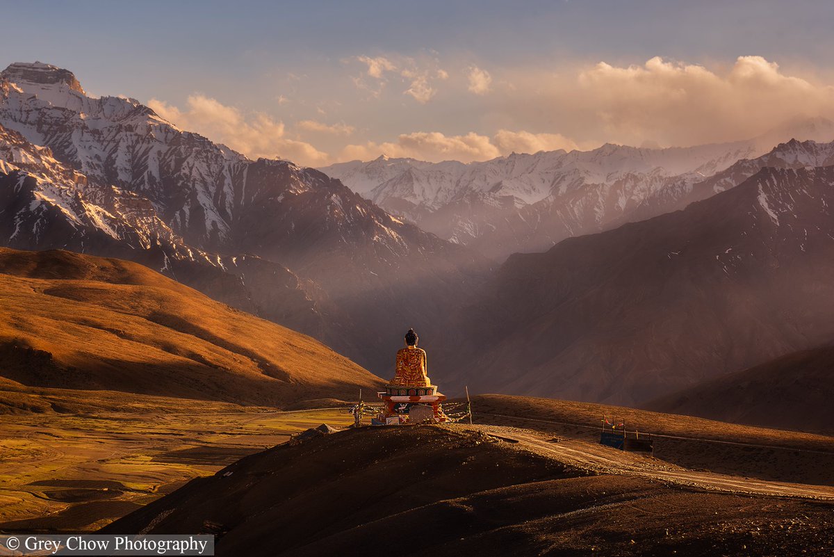 Grey Chow tweet media