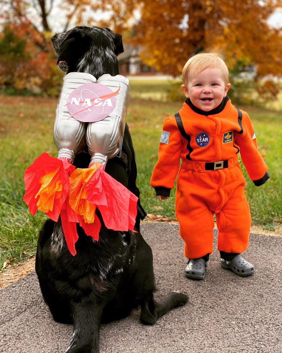 mackenzietyree's tweet photo. @NASA Maverick and Crew are OVER the MOON about their matching @NASA costumes. #NASACostume https://t.co/JkHj7miFjy