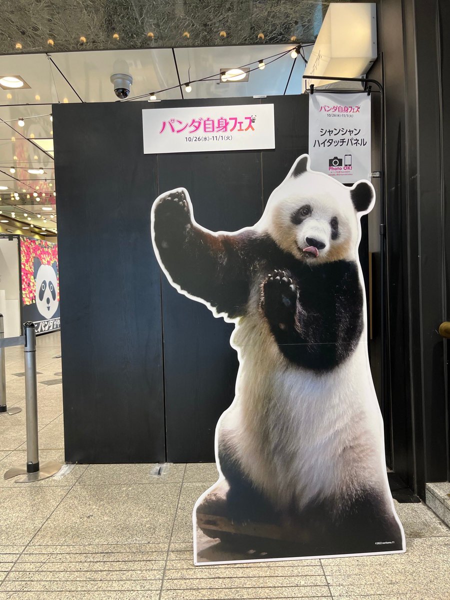 パンダ自身フェス　シャンシャン　ハンガー パンダ自身フェス シャンシャン ハンガー 【公式通販】