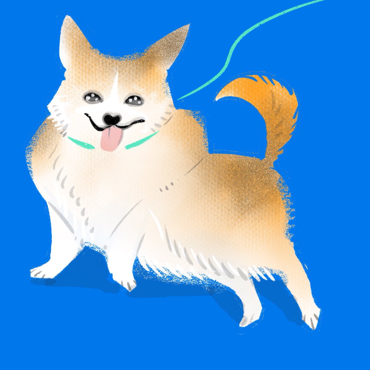 「今まで描いた犬。#犬の日 」|谷口 菜津子のイラスト
