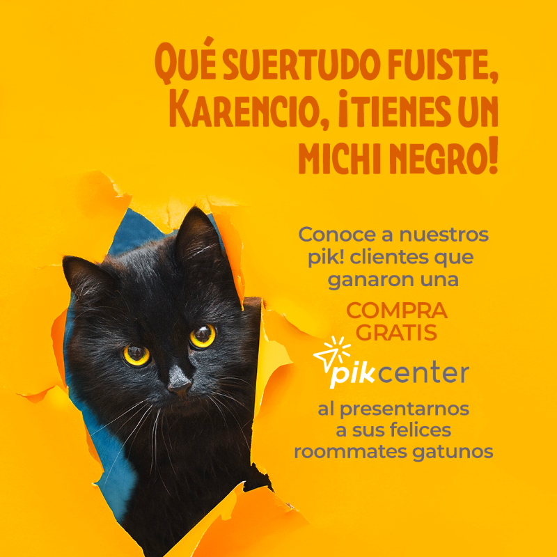 pikcenterCOM's tweet photo. 🎃🐈‍⬛ ¡Gracias a todos por participar! 👻

Hemos demostrado que los gatitos negros dan mucha pero mucha suerte 🍀 Sigue comprando en https://t.co/v85hN9giT9 multitienda online o app, ¡aún tenemos muchas promociones y concursos para ti! 😉