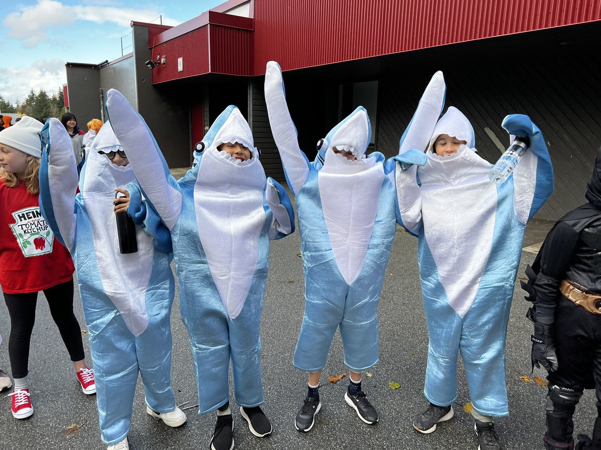 Cougar Canyon tweet media