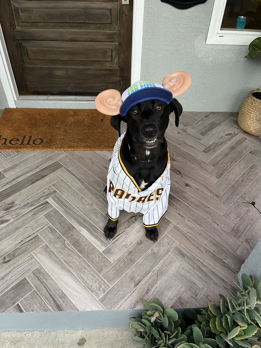 Check me Dawg! Happy Halloween😁