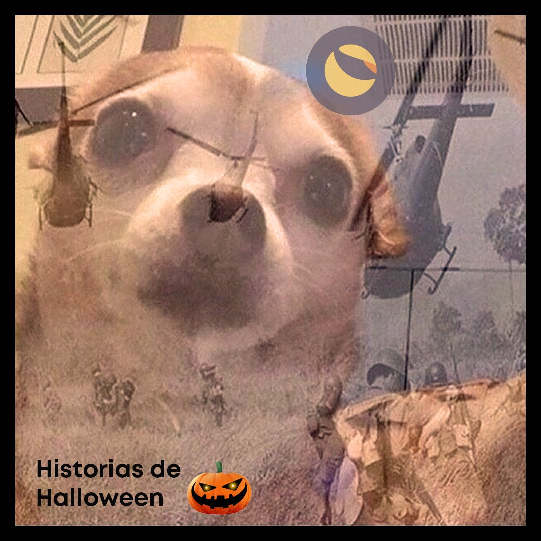 Comenta tu historia de #Halloween #Crypto 🌙🎃
y no dejes de seguir a los perros callejeros de la #Blockchain #StrayDogsClub

#nftcollector #NFTs #NFTCommunity