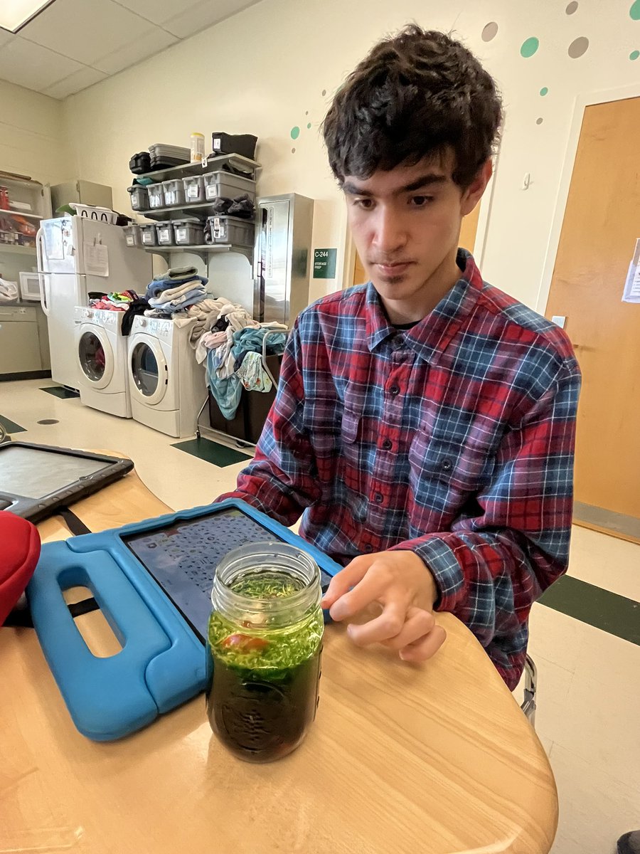 Making a jack o lantern and comparing the density of each part of the pumpkin