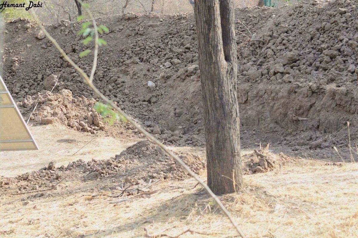 ask_aubry's tweet photo. There is a leopard in this photo. 

How dead would you be? 

My career as a gazelle would be short lived. https://t.co/9A4LxJyHnC