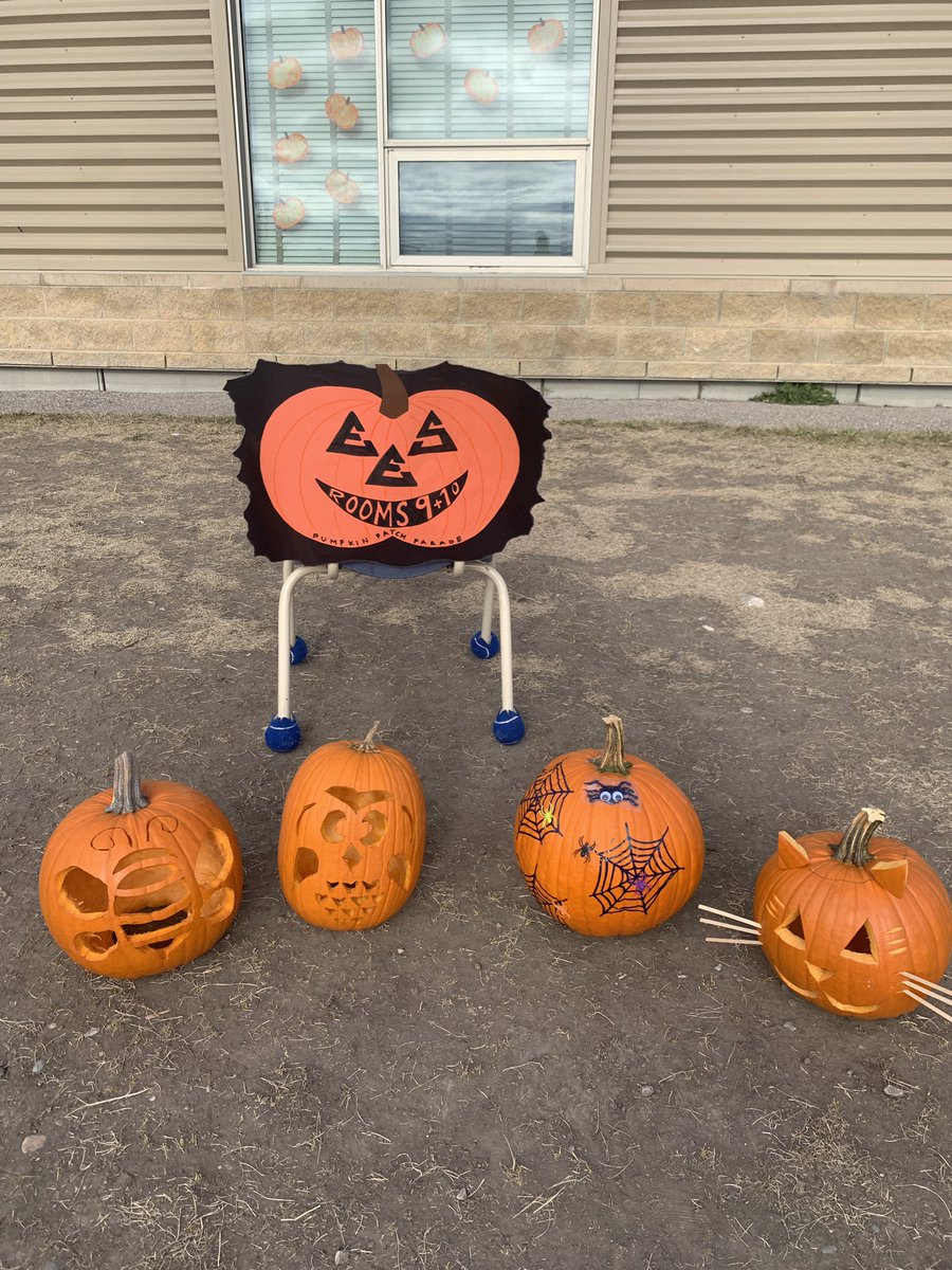 BPSHawksEES's tweet photo. Oh my gourd! π Our schoolβs Pumpkin Patch was a hit! #BPSHawksLearn #BPSHawksEES https://t.co/eyHv8IPCn8