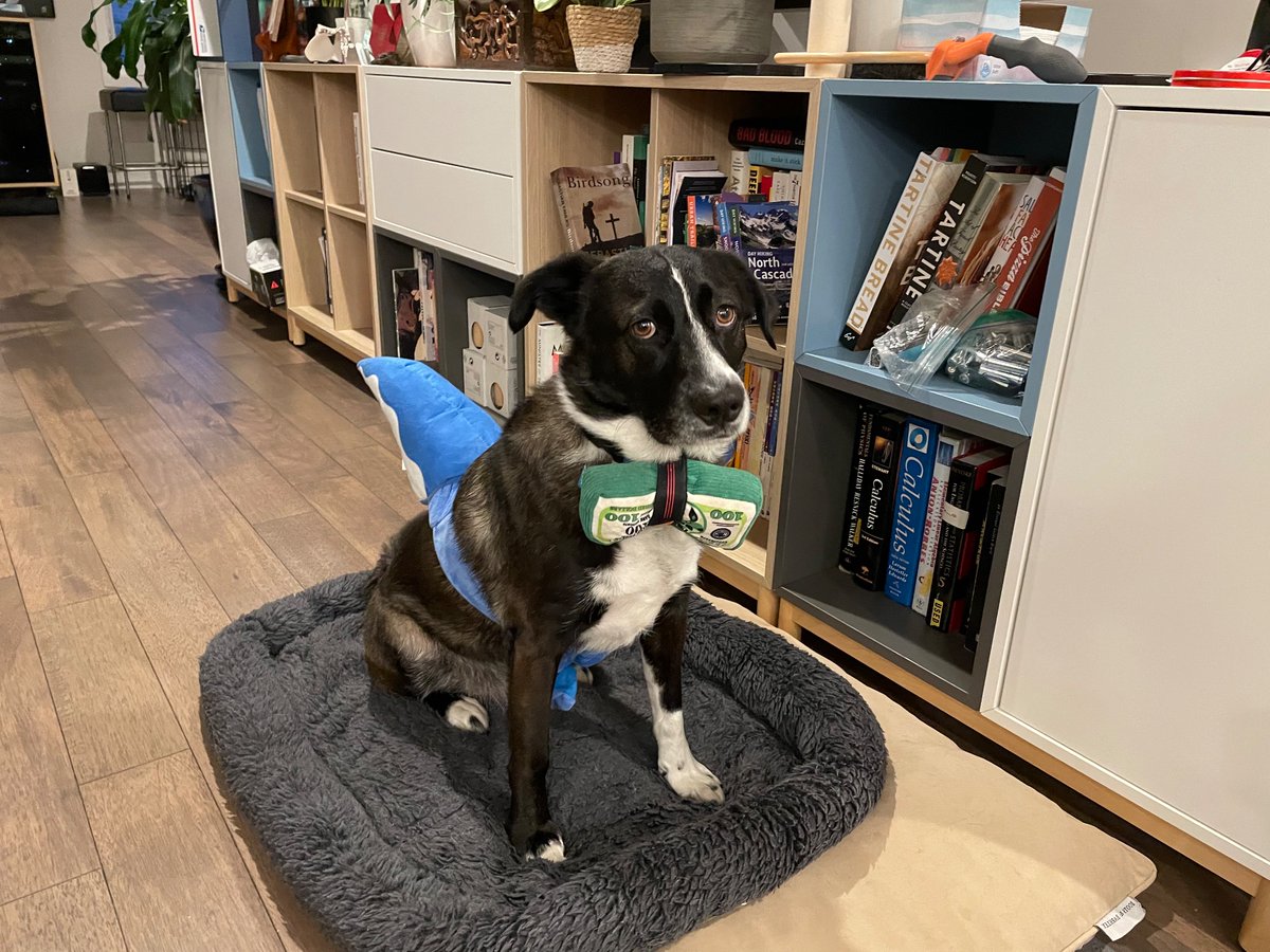 Happy Halloween! 🎃 In light of recent economic events, this year watch out for those spooky… LOAN SHARKS 💸🦈