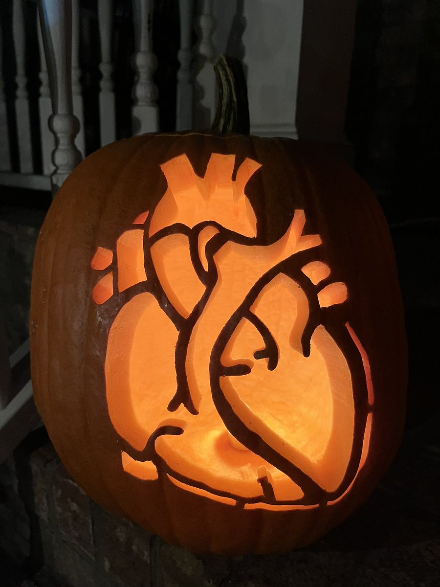 Ilya Shadrin, MD/PhD tweet media