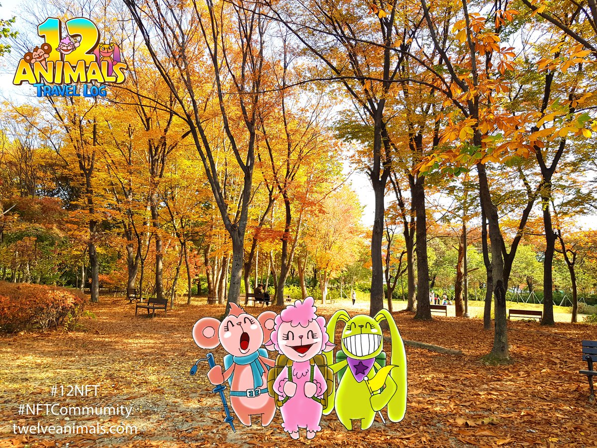 12 Animals Travel Log tweet media