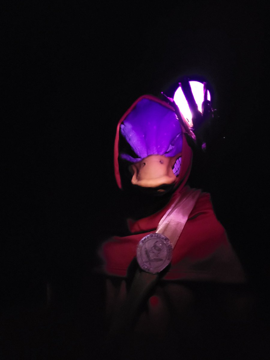 Reliving my childhood with <a href="/MallardOrder/">The Mallard Order</a>! Spent the week building a staff with glowing power stone, red robe with a TMO medallion on a gold sash, and painting my cosmic feather mask... Happy Halloween and Mallard Monday!
#CNFT #CNFTProject #Cardano #TMO #MallardOrder #Halloween