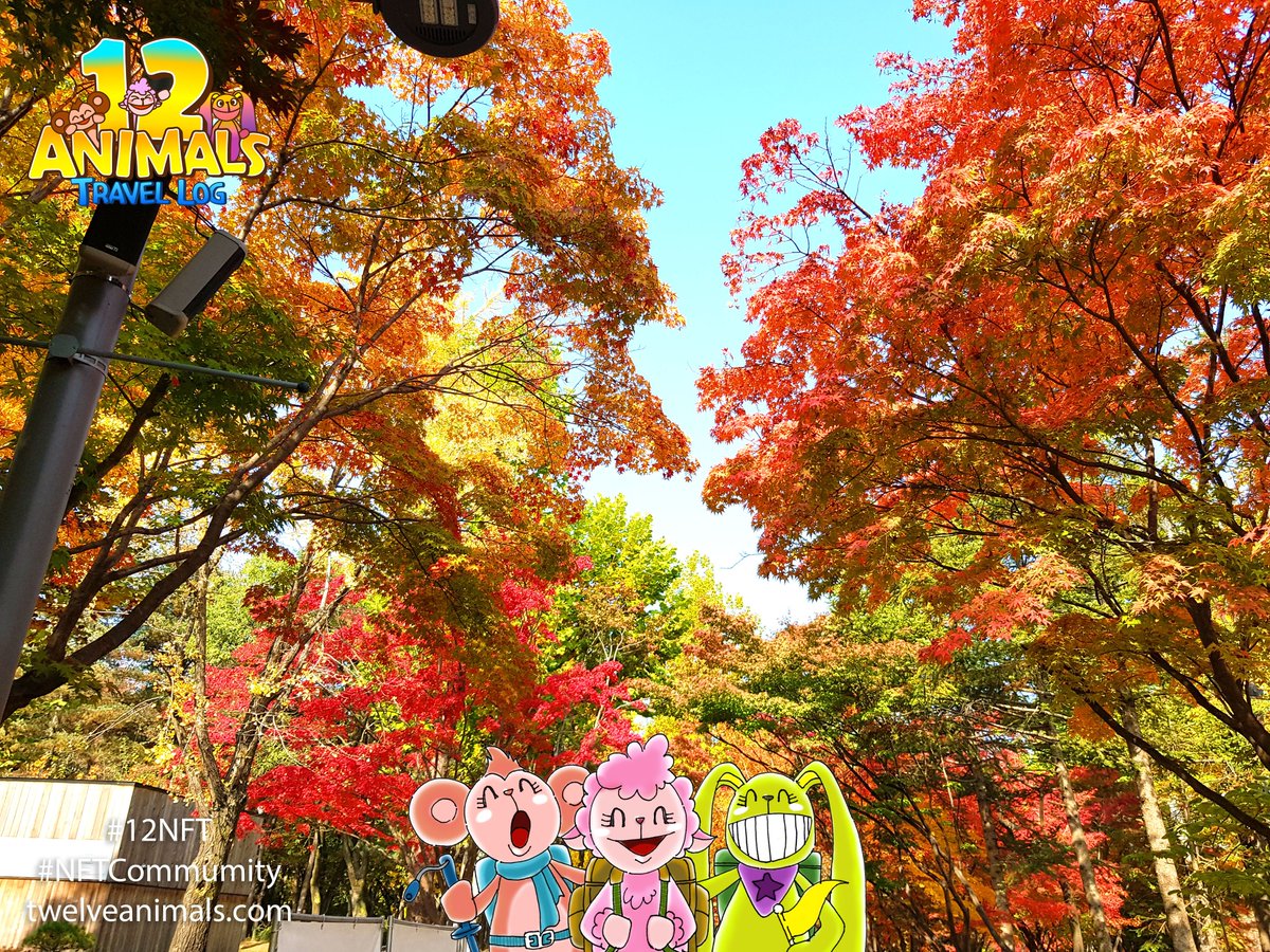 12 Animals Travel Log tweet media