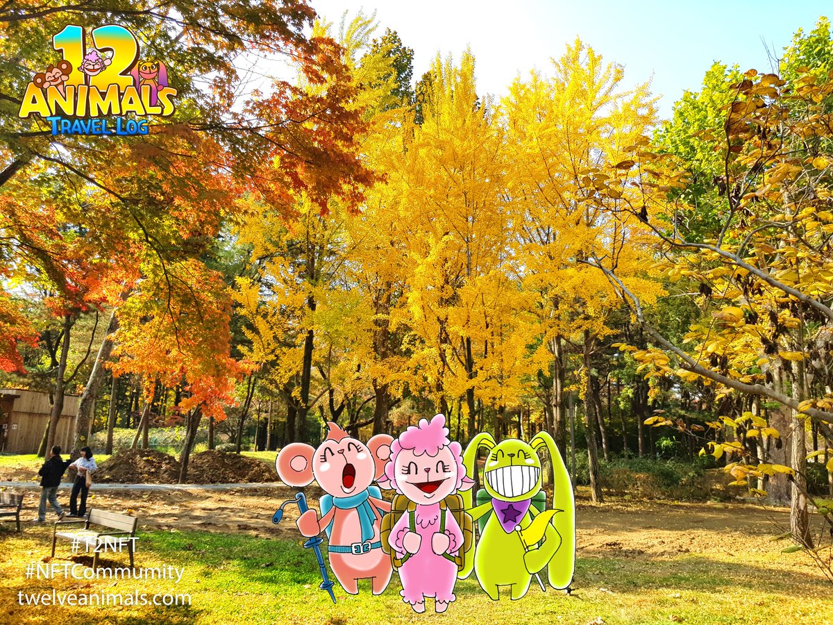 12 Animals Travel Log tweet media