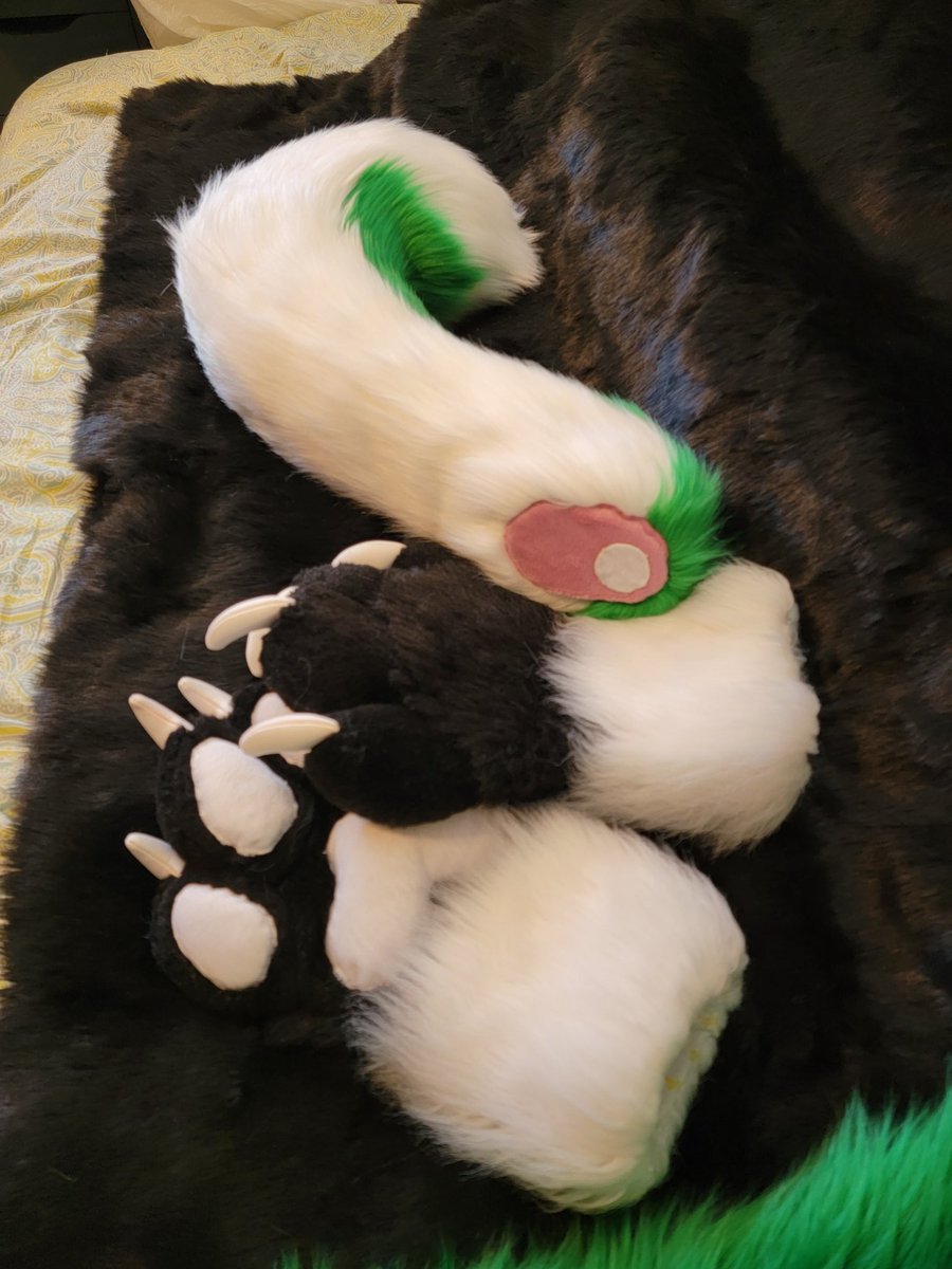 PrimalgrayTM's tweet photo. Finally finished our first commission for a good friend of ours @ZeroTheHusky274. We did the paws and the tail. Glad you liked how they came out! https://t.co/uZfmsJQAjC