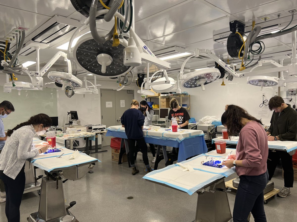 GWvascsurg's tweet photo. Great night hosted by VSIG @GWSMHS. We had suture skills practice and EVAR VR simulation courtesy of @endologix . Amazing turnout and engagement. Definitely some future vascular leaders in this group. Thank you to @SalimLala and @MelinaRecarey and team for organizing. https://t.co/2NQbPA0ovR