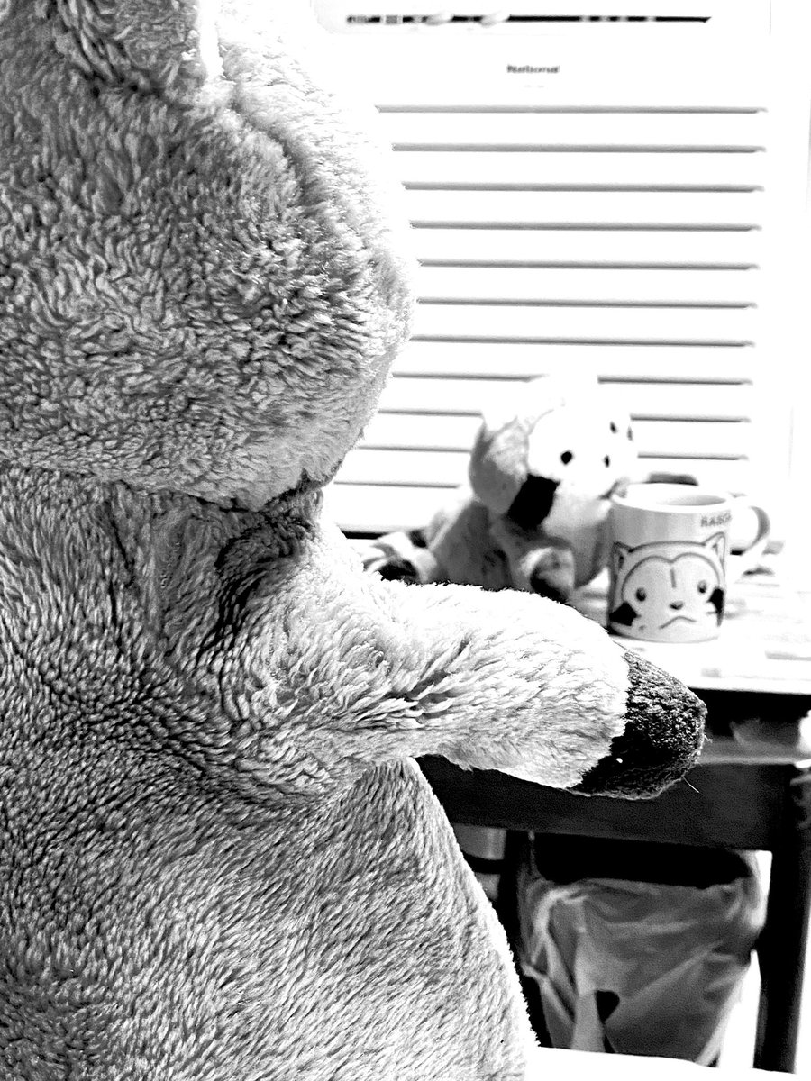 Rascal2011M's tweet image. ＃ラスカル ＃ぬいぐるみ #コーヒータイム