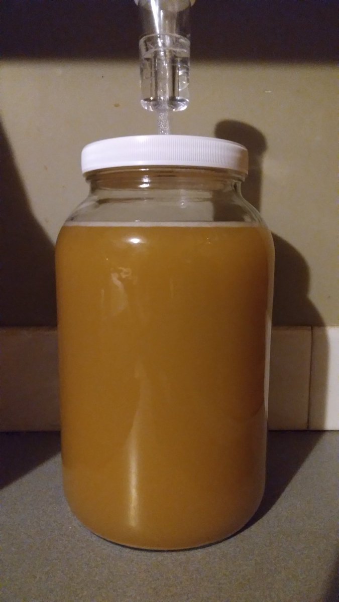 KnightDivining's tweet photo. Cinnamon Cyser has only been brewing for a week & it's already at 13% ABV ๐
It's going to be a strong one for sure! #mead #meadmaking #meadmaker #cyser #cinnamoncyser https://t.co/LgY90lQWqZ