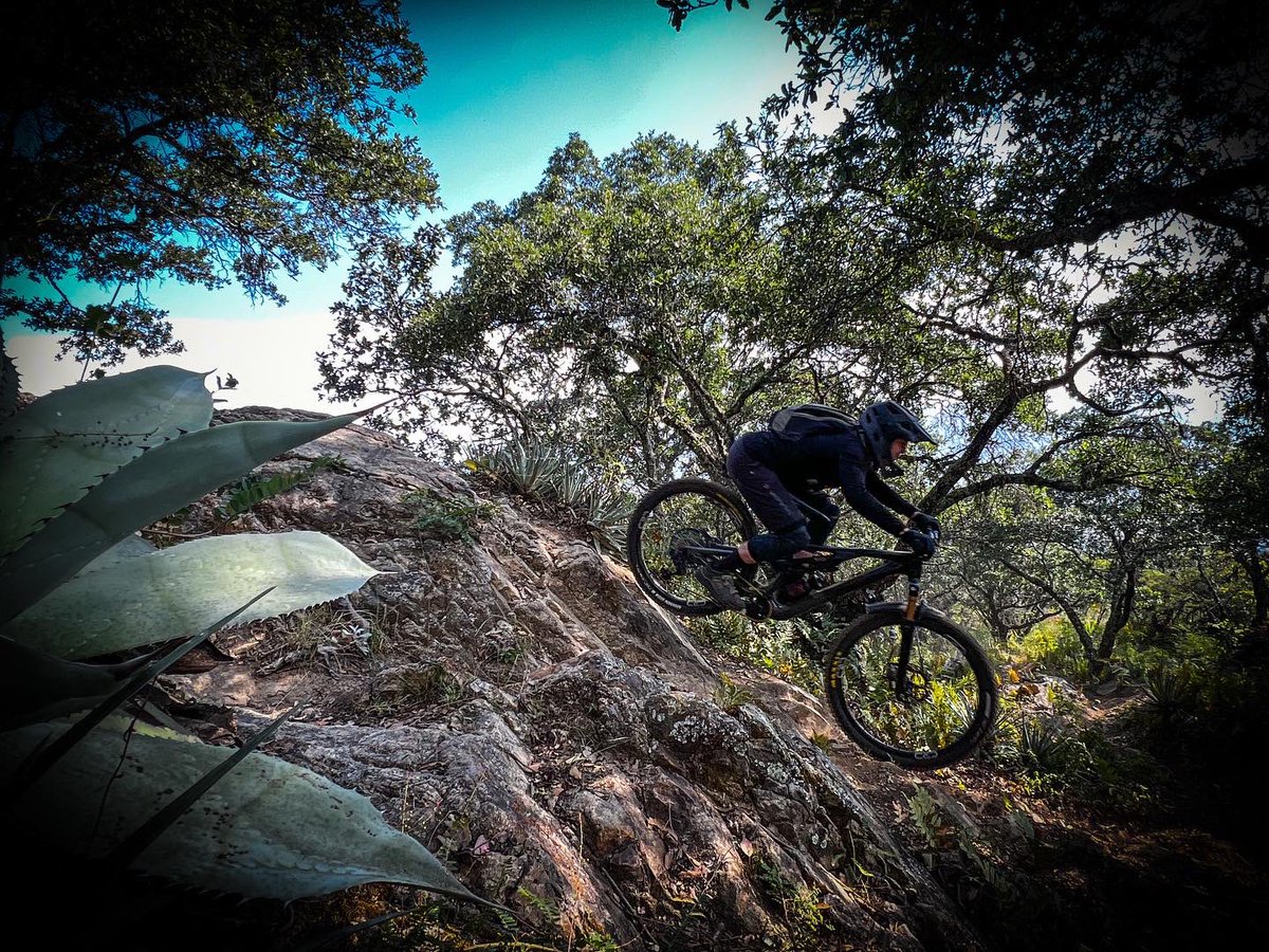 oaxacabikeexpe1's tweet photo. #oaxaca #mtb #mountainbike #mtbtour https://t.co/wQ5JJgaRCk