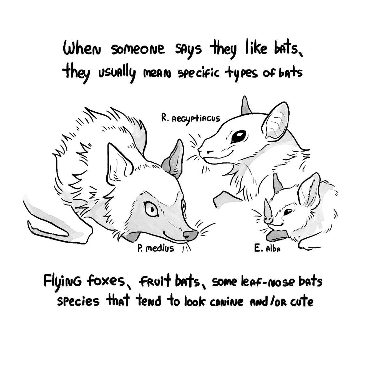 lemmy | frogcroaks.bsky.social tweet media