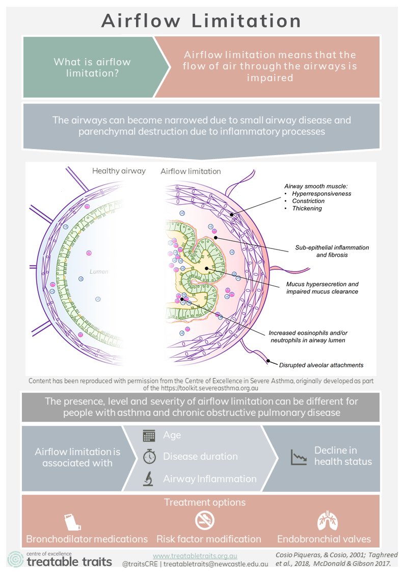 Have you seen our Treatable Traits- infographics? Our infographics are free downloadable resources which can be used in the clinic, by patients and by clinicians. 

Which infographic would you like to see next?

treatabletraits.org.au/infographics/