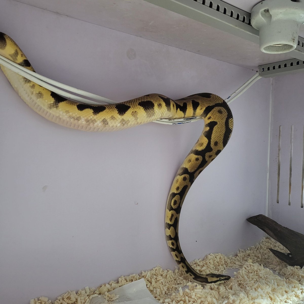 아냐 그거 노는곳아냐🤦‍♀️