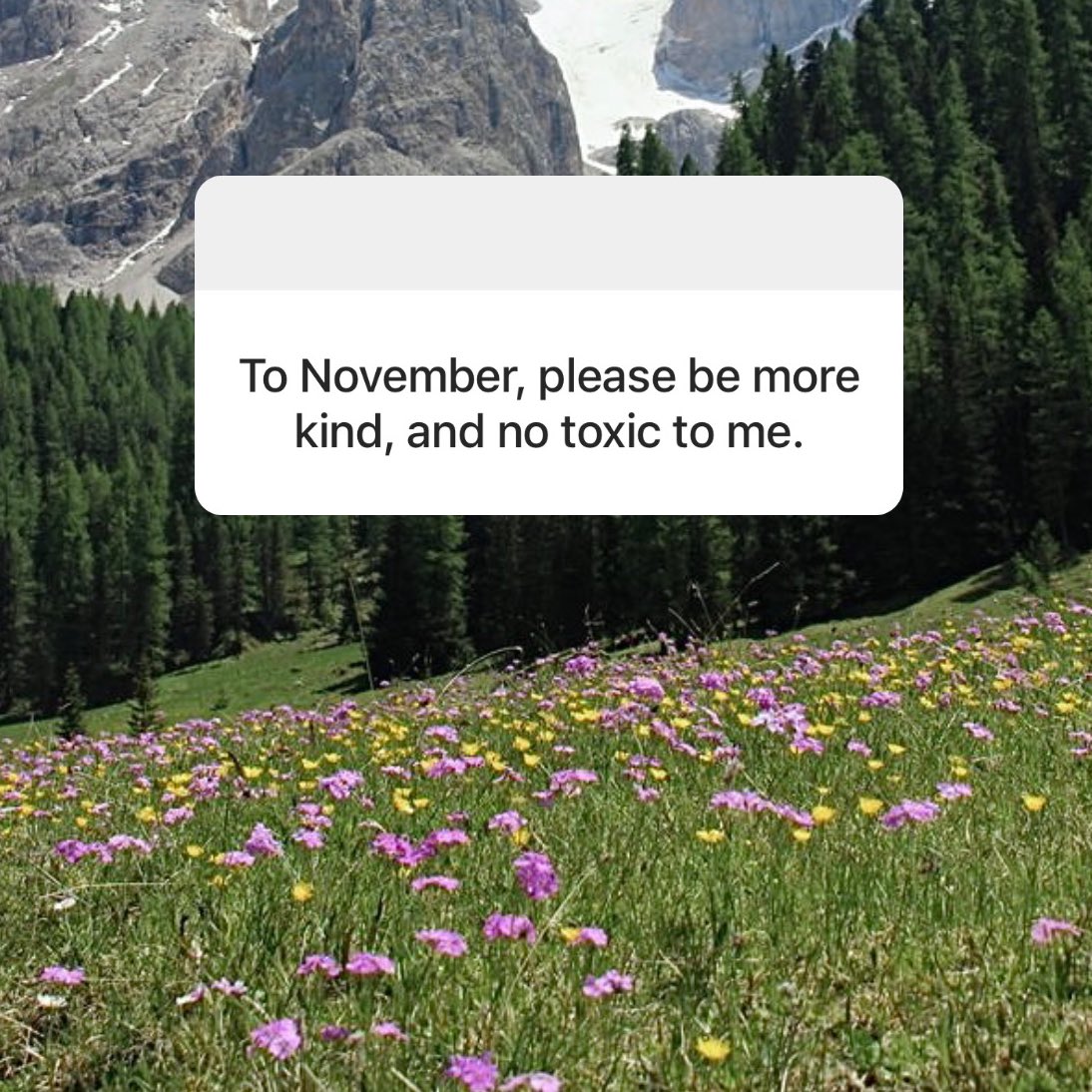 itfeelquotes's tweet image. To november, please be more kind, and no toxic to me.

ถึงพฤศจิกายน:
ขอให้เป็นเดือนที่ใจดีมากขึ้น ไม่มีเรื่อง toxic