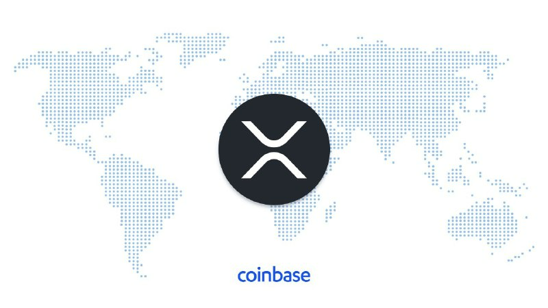 Danchoi Shitcoin tweet media